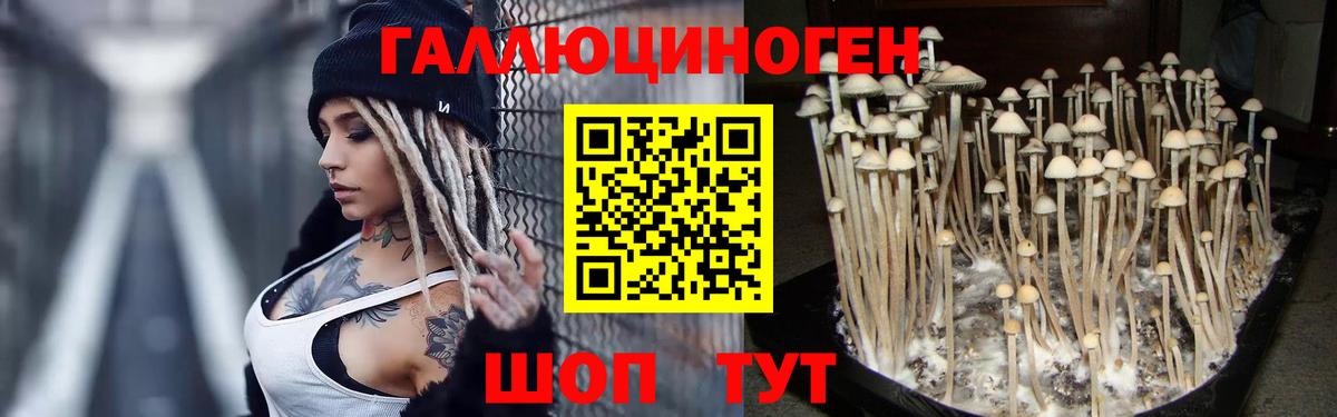 Лесозаводск  Галлюциногенные грибы Psilocybe  Вход с VPN  Галлюциногенные грибы Magic Shrooms 